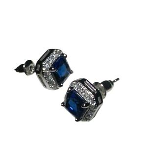 Elegant Blue and Silver Stud Earrings